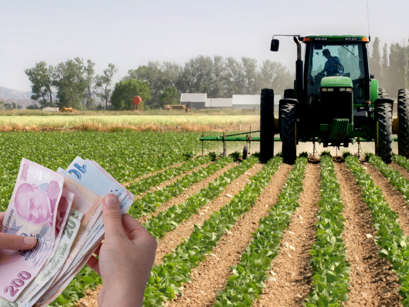 Çiftçilere 350,9 Milyon Liralık Destek Ödemesi Bugün