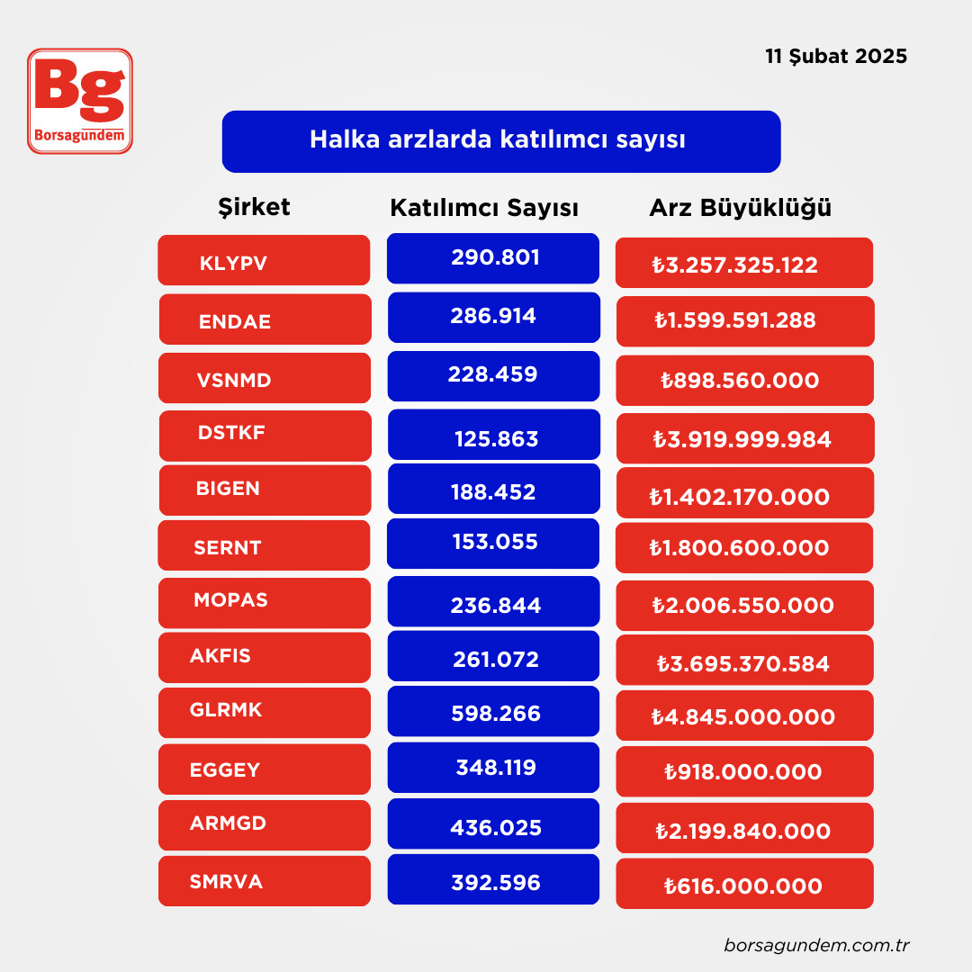 Halka Arz-11