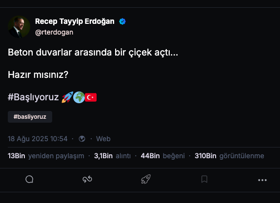 Erdoğan Nsosyal