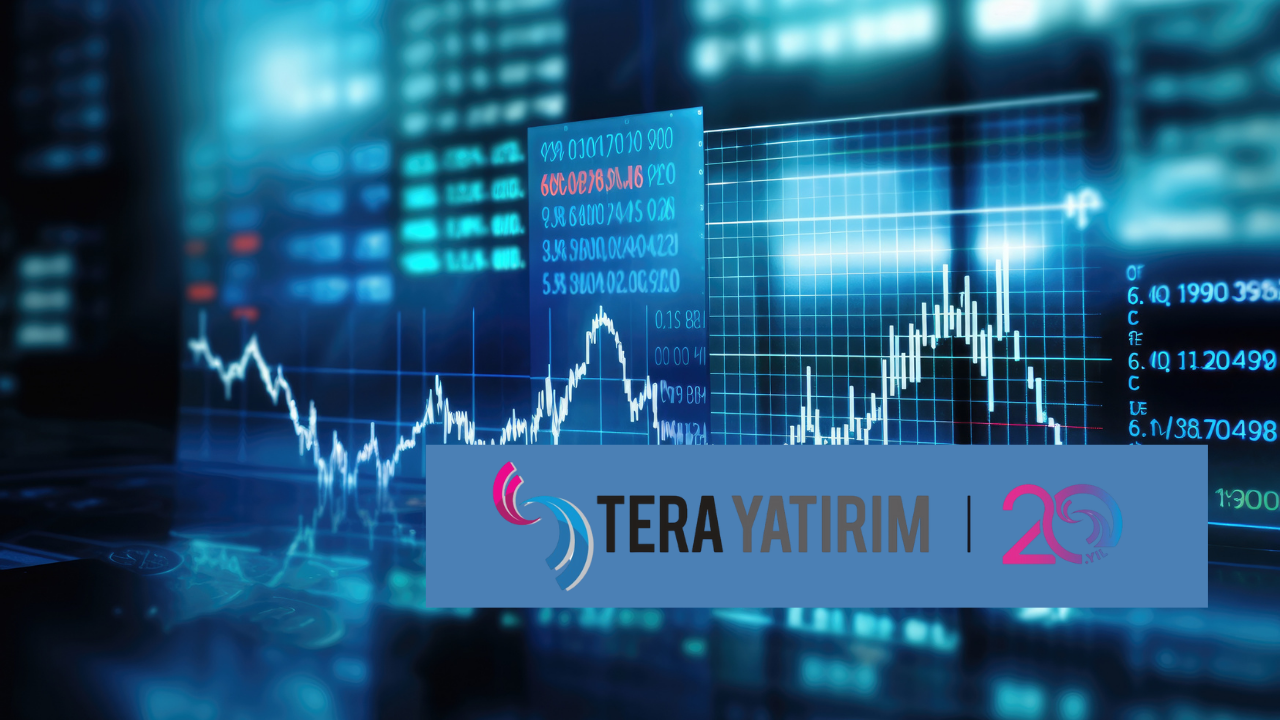 Tera Yatırım'ın en çok alım satım yaptığı hisseler