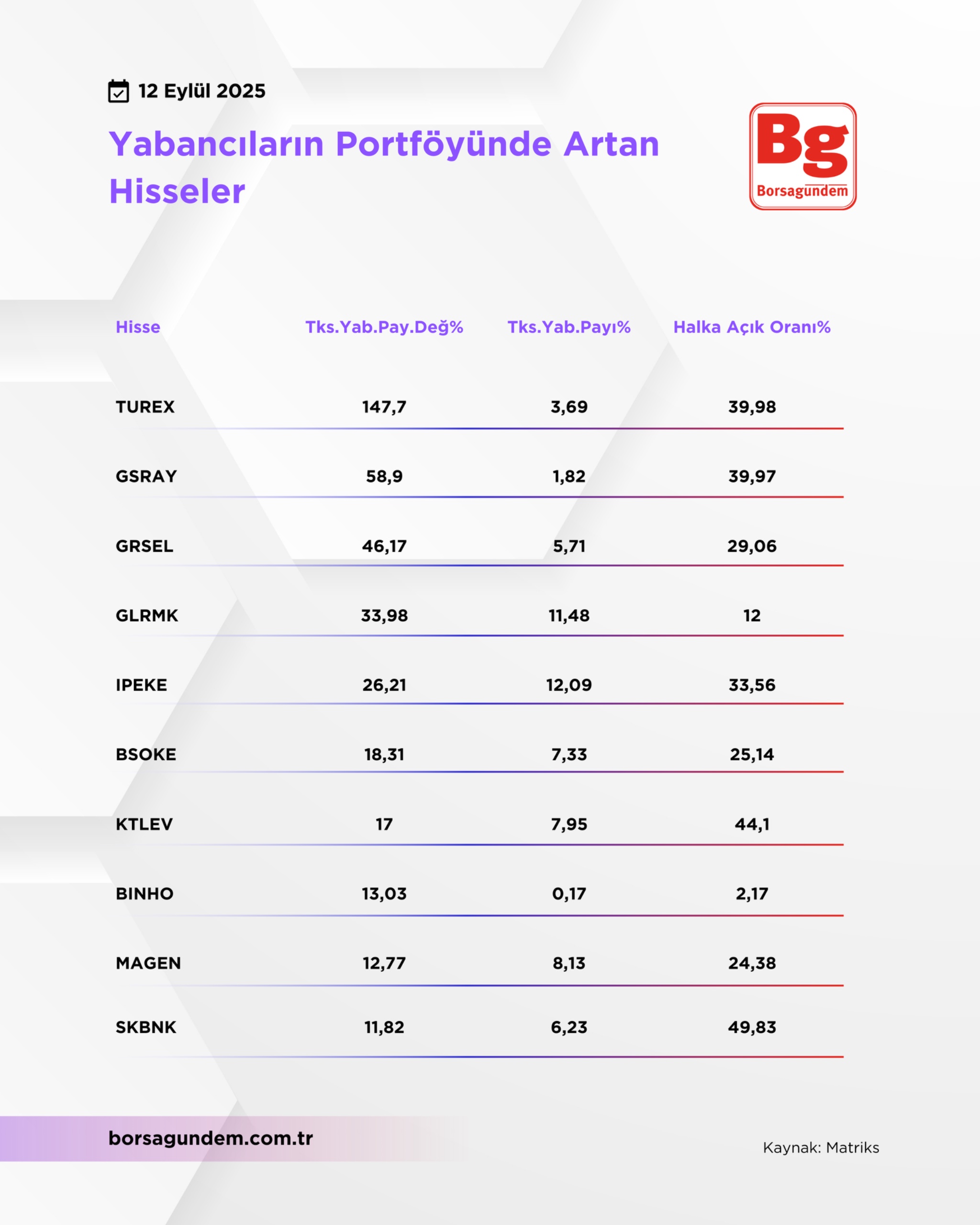 Yabancı Giriş 1209