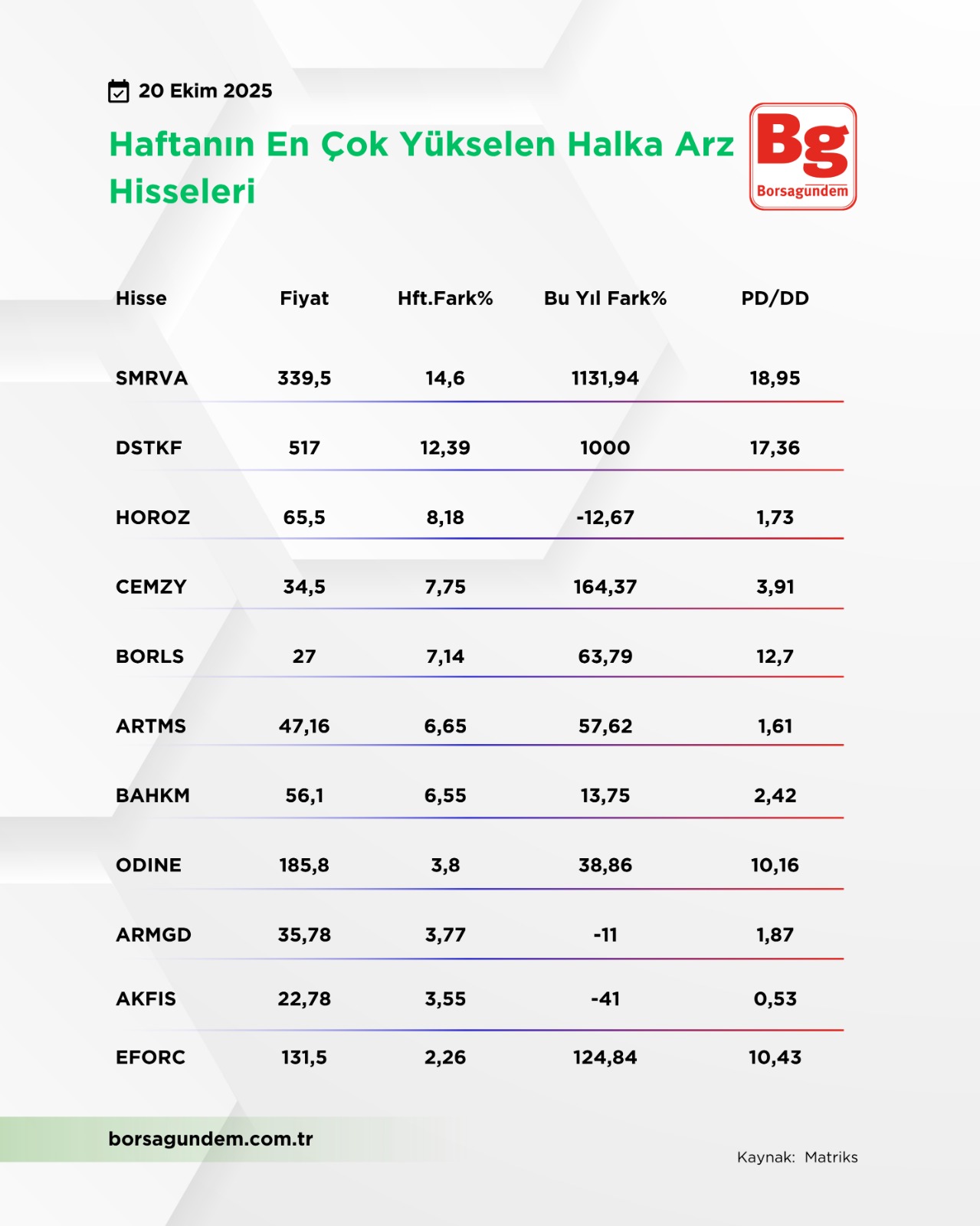 Halka Arz En Çok Yükselen 2010