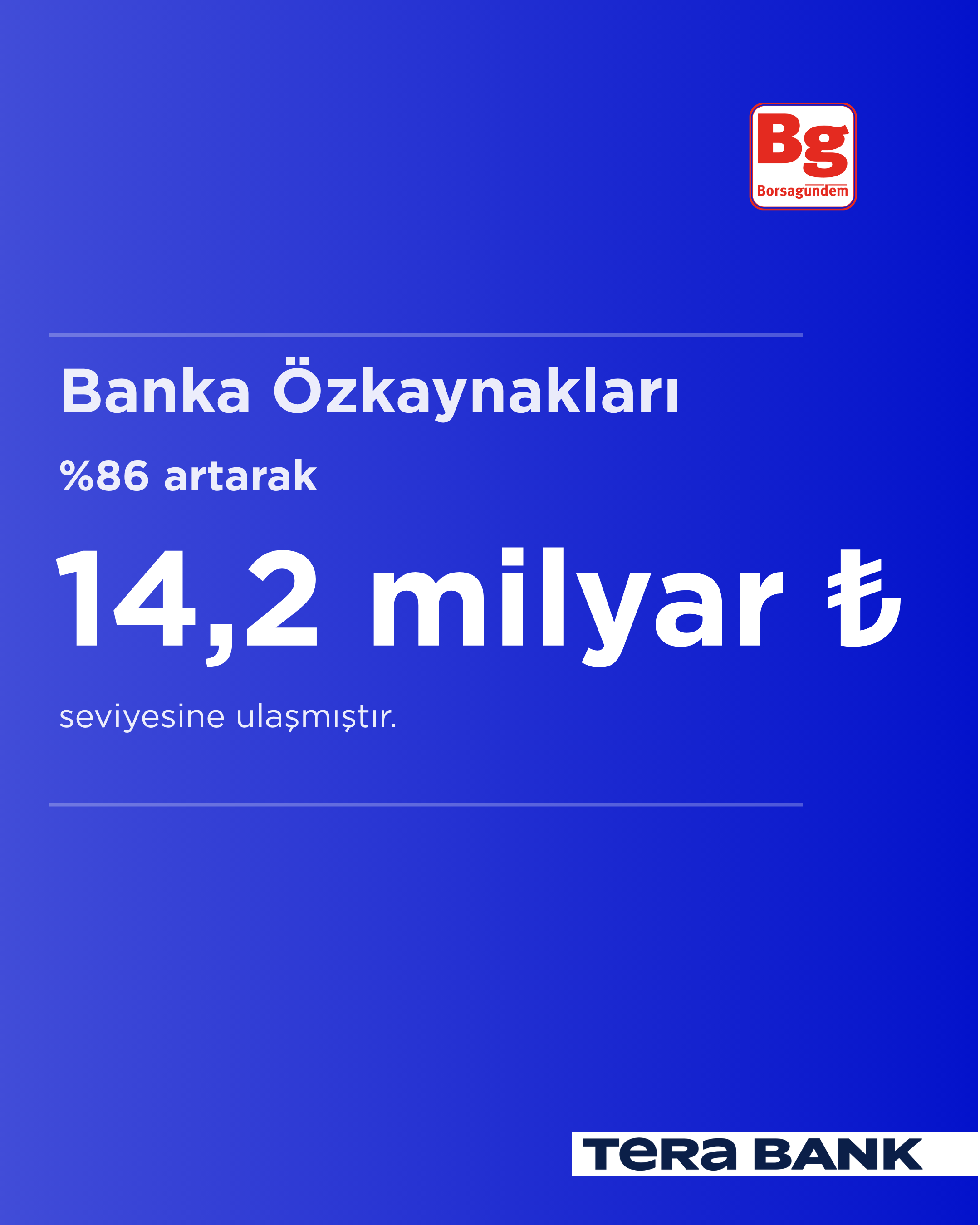 Tera Bank (4)