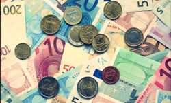 Döviz piyasasında karışık bir  seyir izleniyor