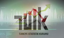 TÜİK, 2023 yılına ilişkin "devlet hesapları" verilerini açıkladı