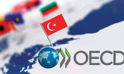 OECD İşletme ve bireyler üzerindeki vergilerin azaltılması eğiliminin tersine döndüğünü açıkladı