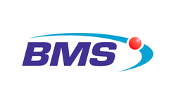 BMS Birleşik Metal (BMSTL) bedelsiz tarihini açıkladı