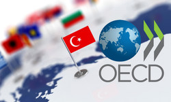 OECD Enflasyonu Düşüşte, Türkiye’de Yüksek Enflasyon Devam Ediyor