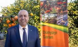 Altun Gıda, halka arz için SPK'ya başvuru yaptı