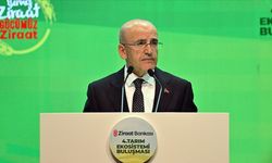 Şimşek: Dezenflasyon Süreci Kesintisiz Devam Ediyor
