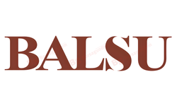 Balsu Gıda’nın bağlı ortaklıkla birleşmesi SPK tarafından onaylandı