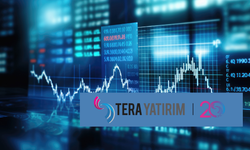 Tera Yatırım'ın en çok alım satım yaptığı hisseler