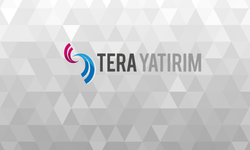Tera Yatırım'ın geçen hafta en çok alım-satım yaptığı hisseler