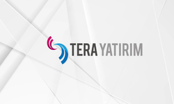 Tera Yatırım'ın en çok alım satım yaptığı hisseler