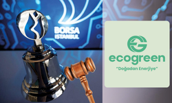 Ecogreen Enerji halka arz sonuçları açıklandı!