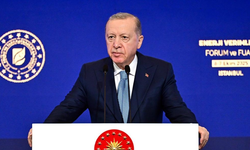"Yeşil enerjiye yatırım yapan ülkelerin başında geliyoruz"