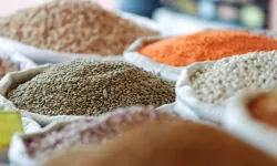 Türkiye'nin hububat ve bakliyat ihracatı 10 milyar doları aştı