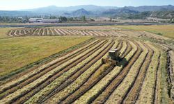 FAO'dan Türkiye'ye 8,1 milyon dolarlık kaynak