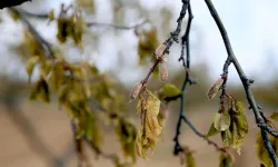 Üreticilere 23 milyar liralık tazminat ödendi