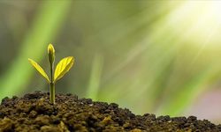 Bakanlık'tan 96 milyar liralık çevre desteği