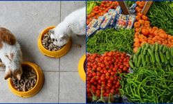 Kasımda Fiyatı En Çok Evcil Hayvan Ürünleri Arttı, Taze Sebzeler Ucuzladı