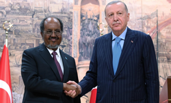 "İsrail'in Somaliland'ı tanıma kararı gayri meşrudur ve kabul edilemez"