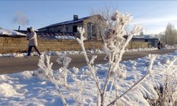 Doğu Anadolu'da dondurucu soğuklar etkisini sürdürüyor