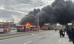 Büyükçekmece'de çıkan yangına itfaiye müdahale ediyor