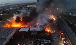 Büyükçekmece'de çıkan yangın söndürüldü