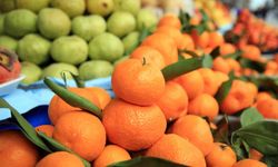 Narenciye ihracatı 1 milyar 477 milyon 58 bin dolar kazandırdı