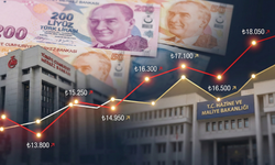 Merkezi yönetim borç stoku ocakta yükseldi