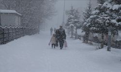Doğu Anadolu'da kar yağışı yaşamı olumsuz etkiliyor