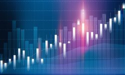 Halka Arz Hisselerinde Haftalık Görünüm: Yükselenler-Düşenler