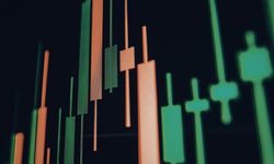 Son Halka Arzların Günlük Getiri Tablosu