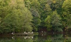 Milli parklarda yeni dönem başlıyor!