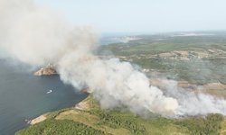 Beykoz'da ormanlık alanda çıkan yangın kontrol altına alınıyor