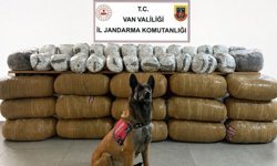 Jandarmanın 2 kentte yaptığı operasyonlarda 471 kilogram yasaklı madde ele geçirildi