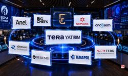 Tera Yatırım dahil 10 şirketin fiili dolaşımdaki pay oranı değişiyor