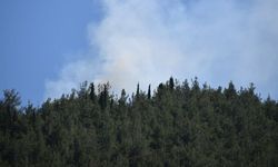 Manisa'da çıkan orman yangını kontrol altına alınıyor