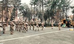 Diyarbakır merkezli 6 kentte organize suç örgütüne operasyon yapıldı!