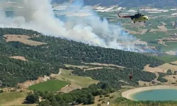 Manisa'da çıkan orman yangınına müdahale edildi