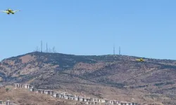 İzmir'de çıkan orman yangını kontrol altına alınıyor