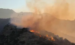 Girit Adası'nda çıkan orman yangınına müdahale ediliyor
