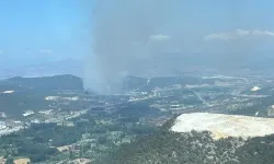 Bilecik ve Balıkesir'de çıkan orman yangınları kontrol altına alınıyor