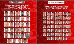 29'u kırmızı bültenle aranan 76 suçlu Türkiye'ye getirildi