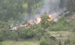 Kastamonu'da çıkan köy yangını kontrol altına alınıyor