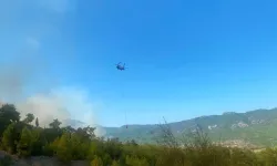 Antalya'nın Serik ilçesinde çıkan orman yangını kontrol altına alınıyor