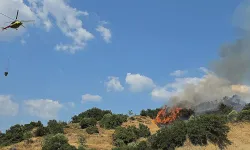 Manisa'nın Soma ilçesinde orman yangını meydana geldi