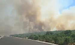 Diyarbakır'da ormanlık alana sıçrayan yangın kontrol altına alınıyor