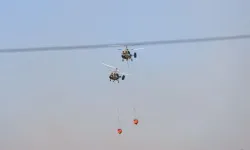 Antalya'da ormanlık alandaki yangınlar, kontrol altına alınıyor